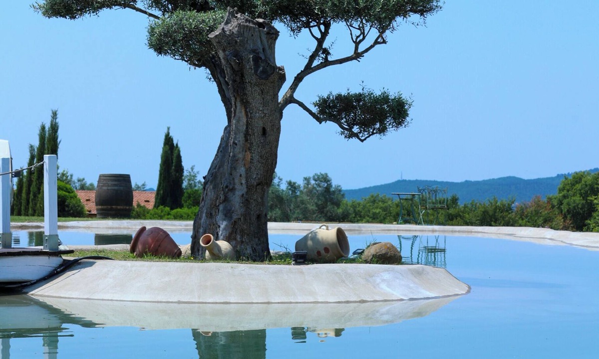 Canino Other | Agriturismo Cerrosughero