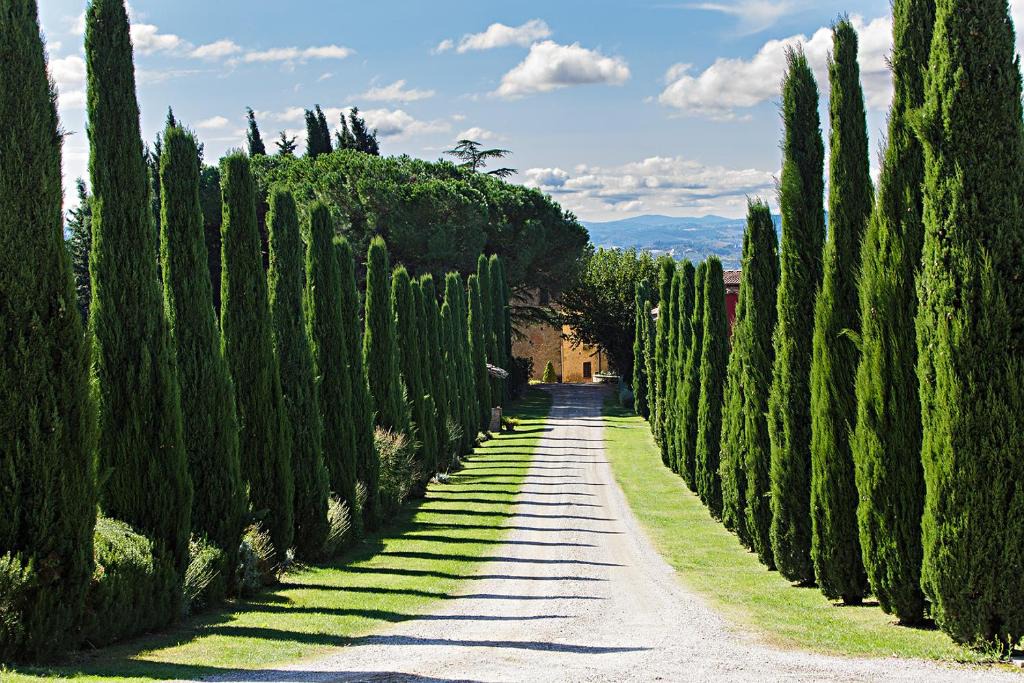 Barberino Val d'Elsa Apartment | Al Gelso Bianco