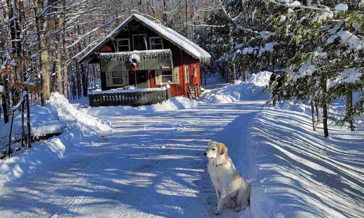 Bessemer Ski Chalet | Cozy creekside cabin near Big Powderhorn's Lift #1 & Recreational Trail #2!