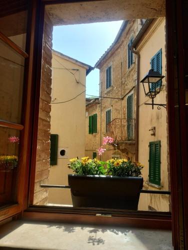 Serre di Rapolano Apartment | Il Nido - relax a 10 minuti dalle terme