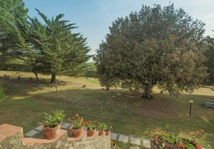 Holiday apartment Castellina Marittima for 1 - 4 persons with 2 bedrooms - Holiday apartment