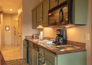Wilderness Club™ at Big Cedar® - Ridgedale - Studio