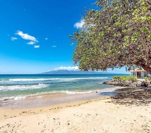 Honokowai Palms 