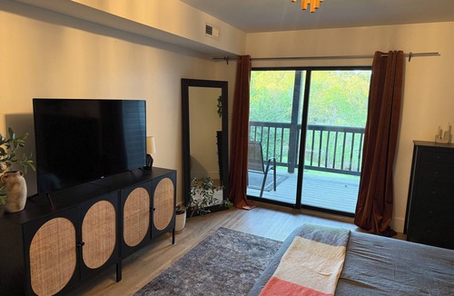Lynchburg Condo | Beautiful and Spacious 4-bedroom home in Lynchburg