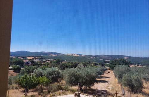 La Campigliola Apartment | Fattoria La Campigliola
