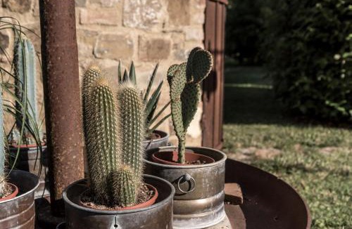 Poggiarello House | I Melograni del Chianti
