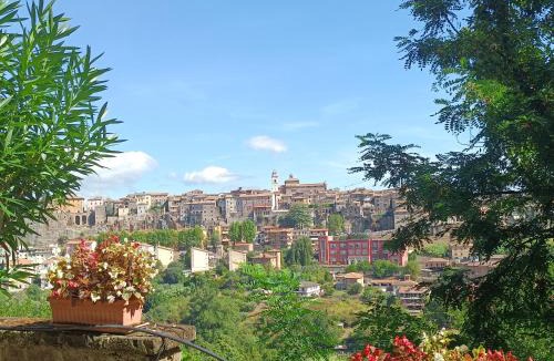 Orte House | La Civetta - Casa vacanze Orte