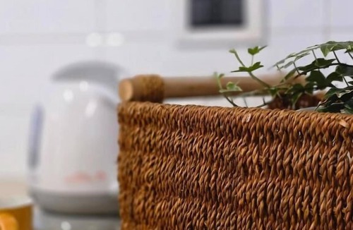 Pietrasanta House | Residence Internazionale