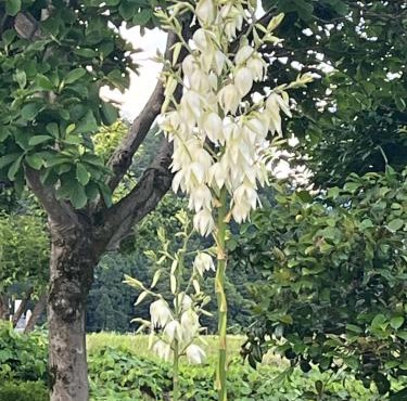 悠の宿
