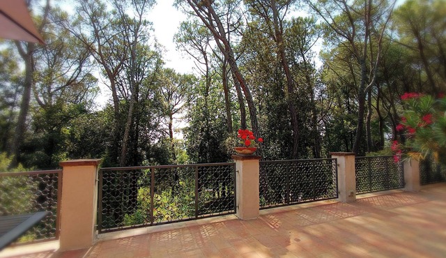 A stone's throw from the village and vineyards, villa with large terrace among pine and cypress trees