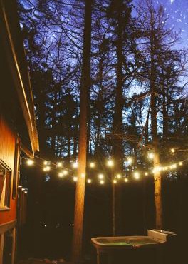ADK Forest Cabin near Lake Placid with Hot Tub and Ice Bath