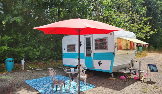 Alice in Wonderland themed, Vintage 1967 Oasis Camper/Glamper!