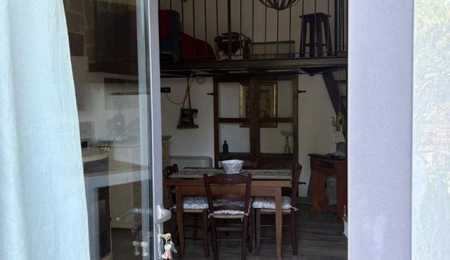 La casa dell'orso