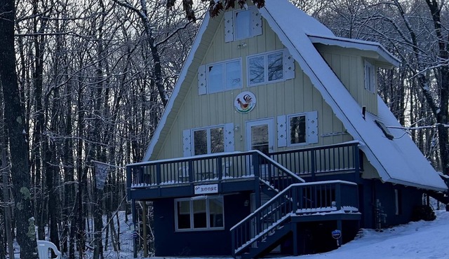 Lower level, cozy, dog friendly chalet in a wooded location-3 blocks from skiing