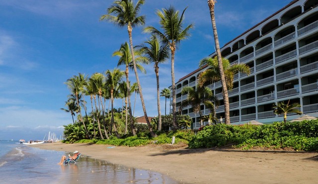 MAUI LAHAINA SHORES 1 BEDnBEACH & OCEAN FRONT GROUND-FLOOR nNO RESORT-CLEAN FEE