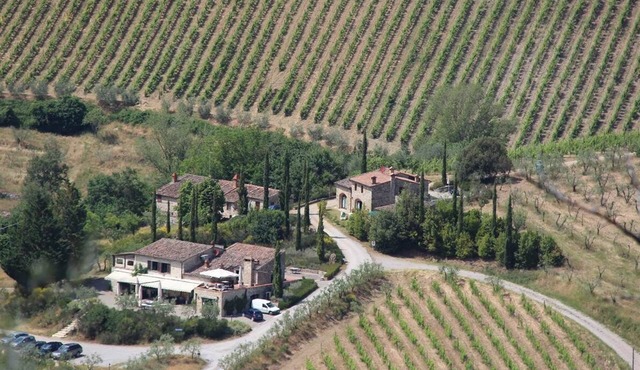 Nicchio, Agriturismo Vinci, Gaiole in Chianti, Siena and Chianti