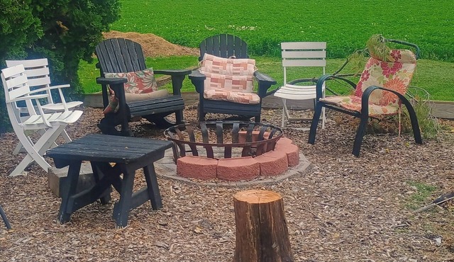 Old Farmhouse/Available Horse And Buggy Rides/Fire pit/Waterslides
