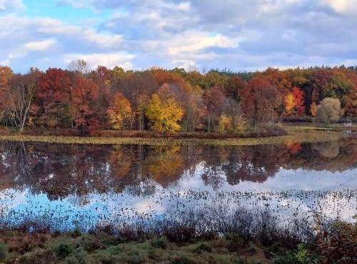 Smitten in da Mitten - 18 acres, Arcades, High Spd Web, Hot Tub, Pond!