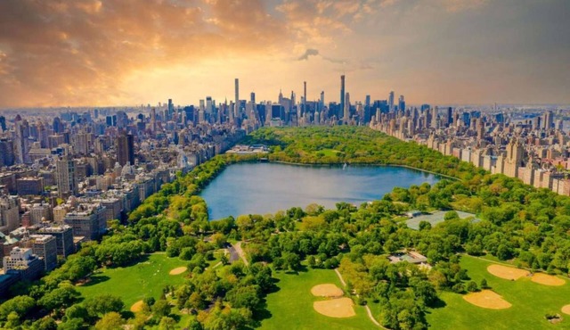 Steps From The Dazzling Lights Of Broadway | Pet Friendly + Bikes