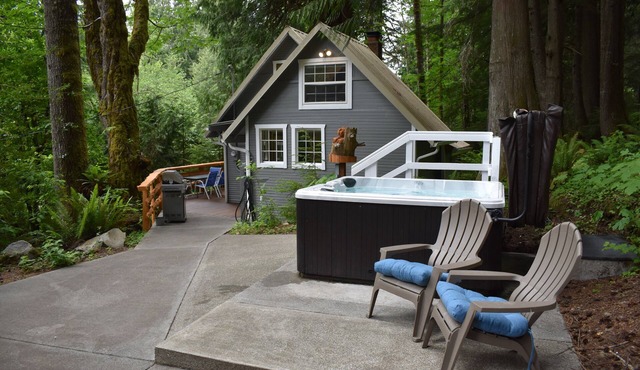 The Cornerstone Cabin - Mount Rainier