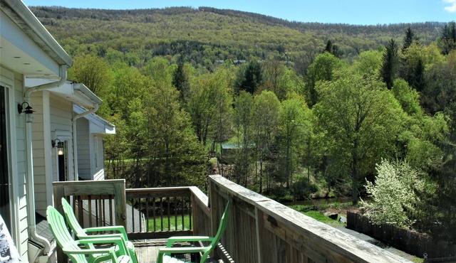 TOWNHOUSE-Slp 8 Mt View/6 BEDS. Downtown Windham. Walk to restaurants and stores