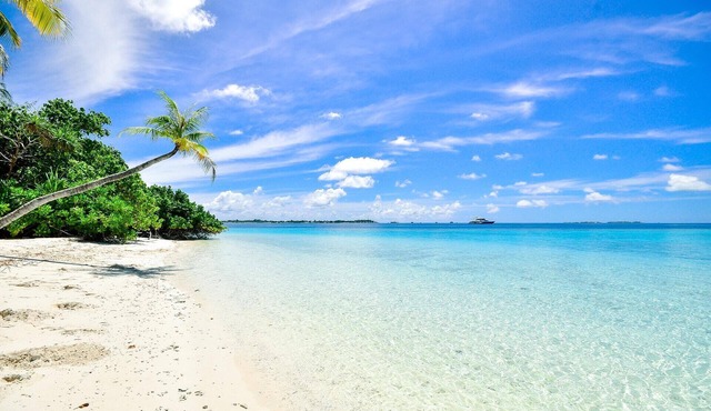 Vacation delight! Cozy condo just steps from the beach and St. Armands circle.