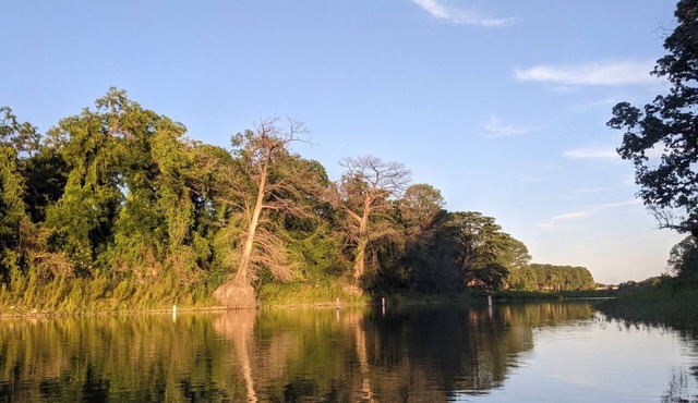 Waterfront rental, park-like setting, 2 Kayaks