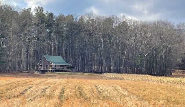 Welcoming 3 bedroom cabin