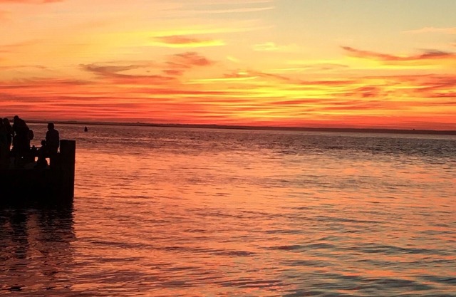 Fire Island Beach 