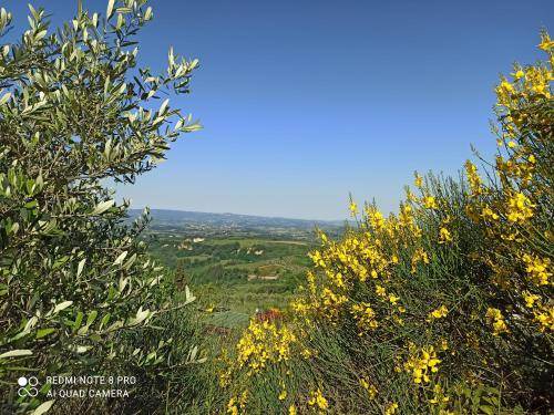 Magliano Apartment | 65 m² Apartment ∙ 2 bedrooms ∙ 5 guests