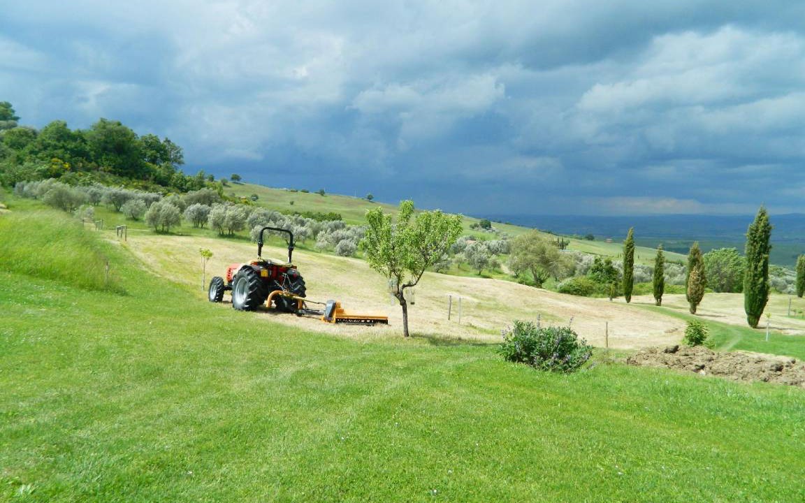 Photo of Others in Castiglione d'Orcia