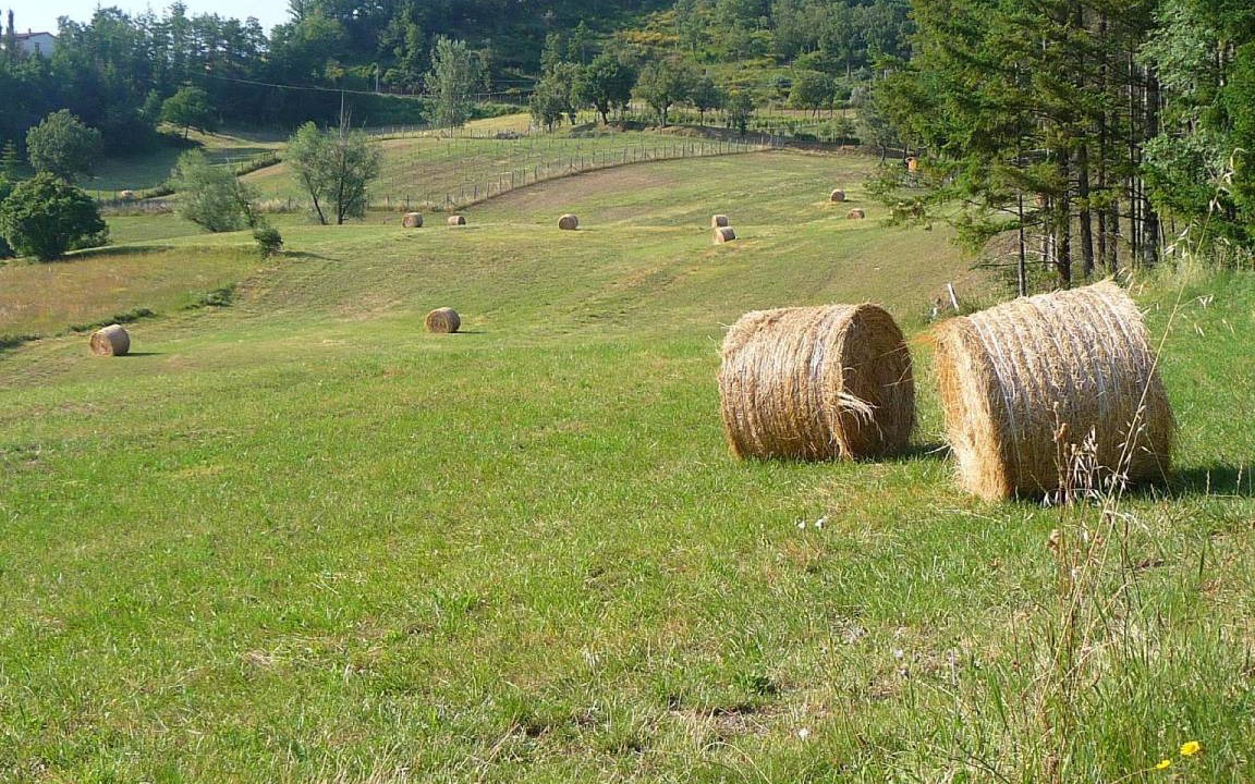 Photo of Others in Pratovecchio