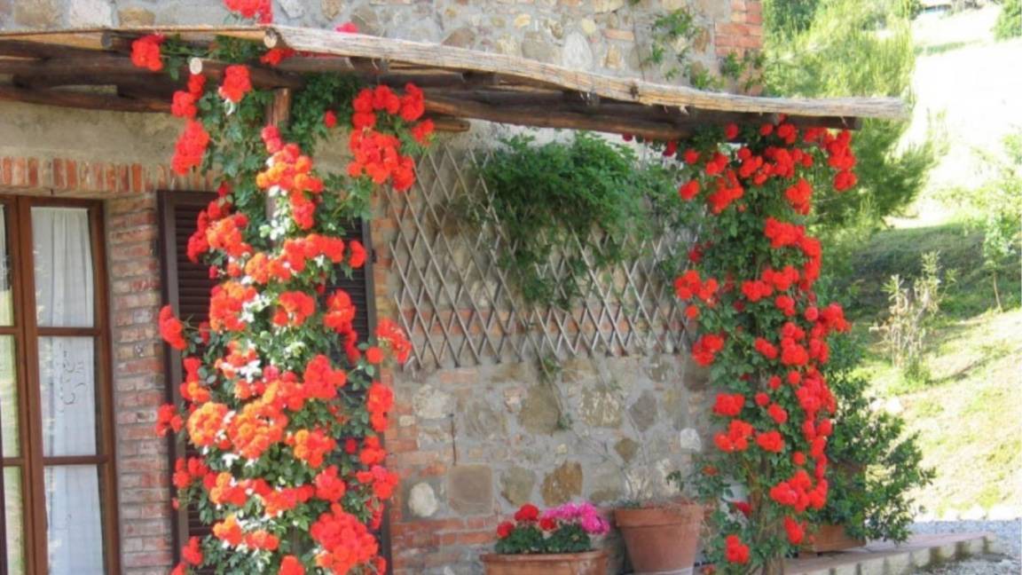 Photo of Others in Contignano