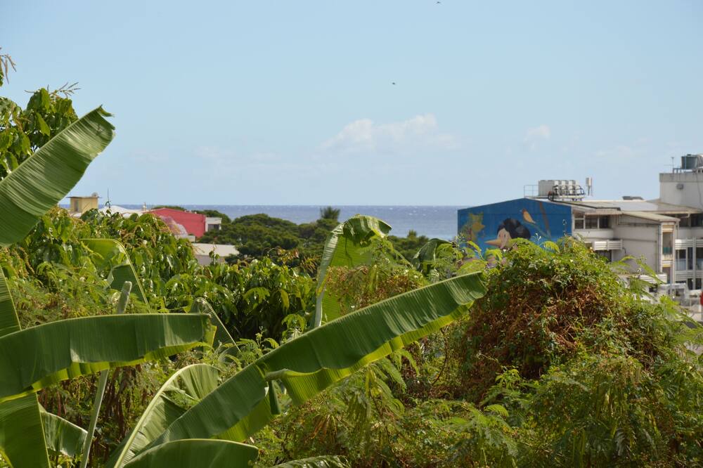 Photo of Outdoor in Pa'ofa'i