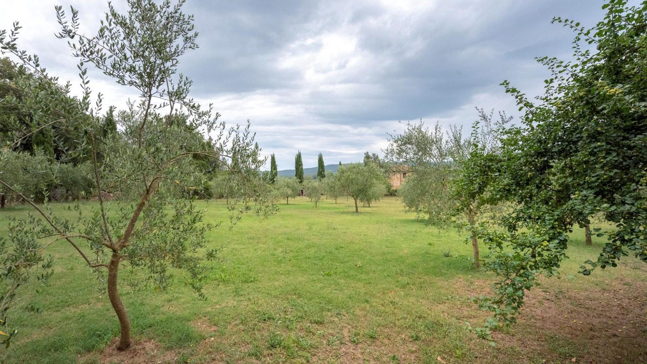 Photo of Others in Simignano