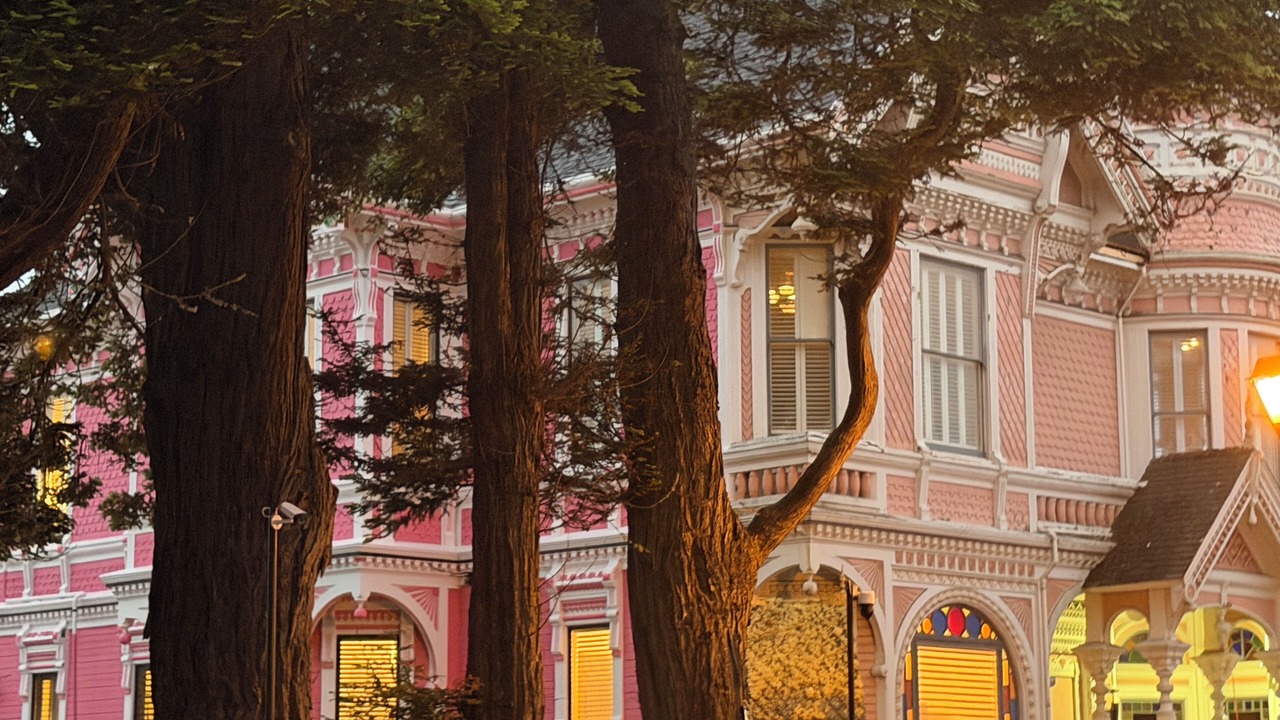 Photo of Outdoor in Old Town Eureka