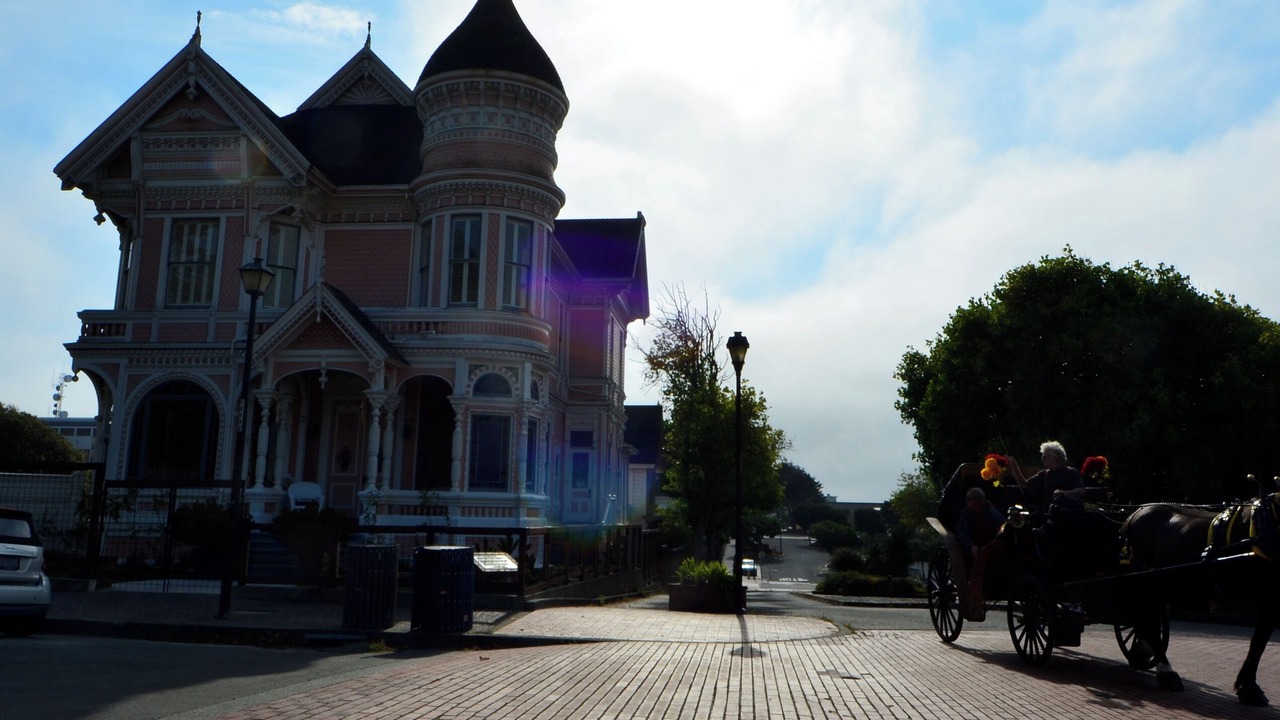 Photo of Others in Old Town Eureka
