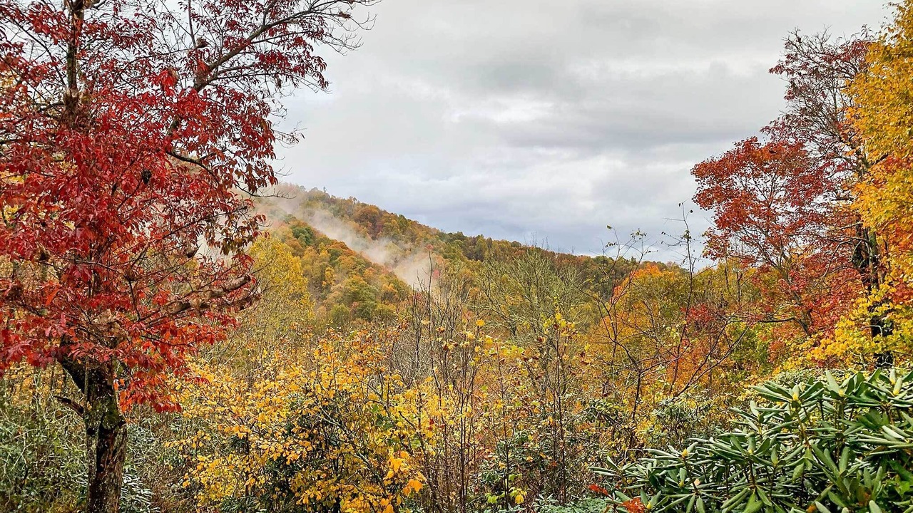 Photo of Others in Spruce Pine