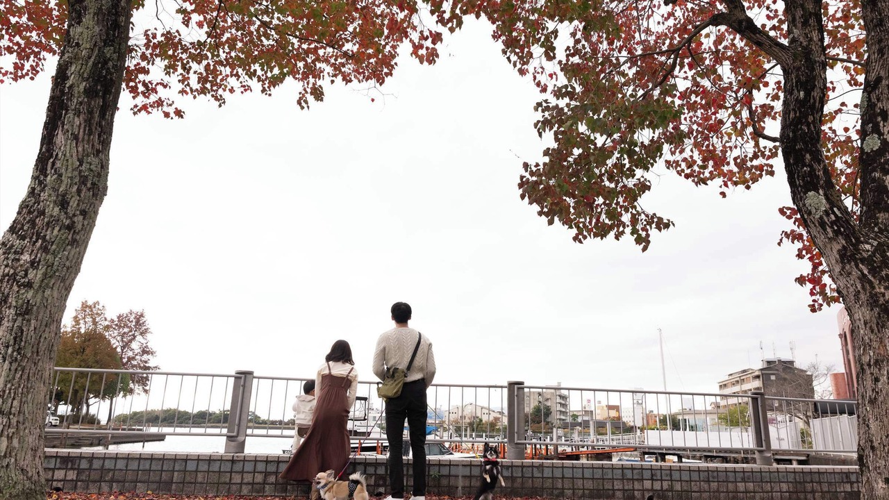 Photo of Outdoor in Ogoto