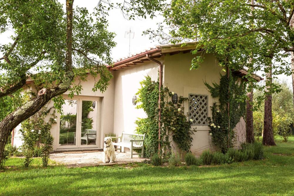 Photo of Outdoor in Vignanello