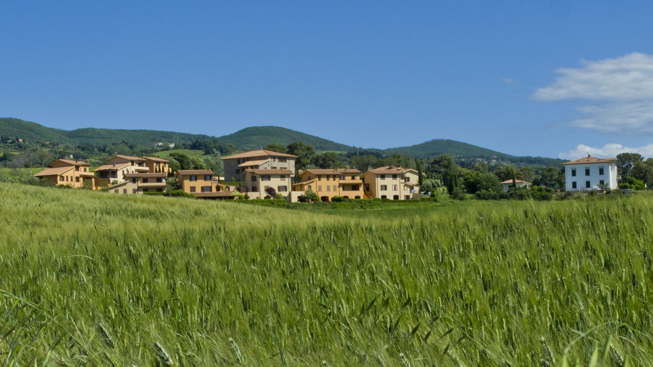 Photo of Outdoor in Pomaia