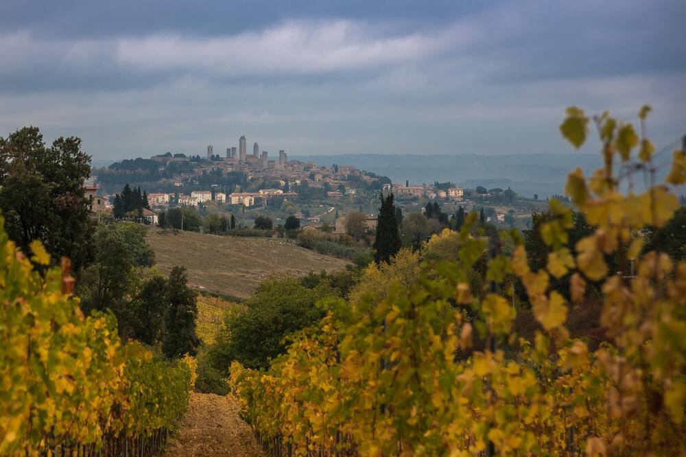 Photo of Others in Sesto Fiorentino
