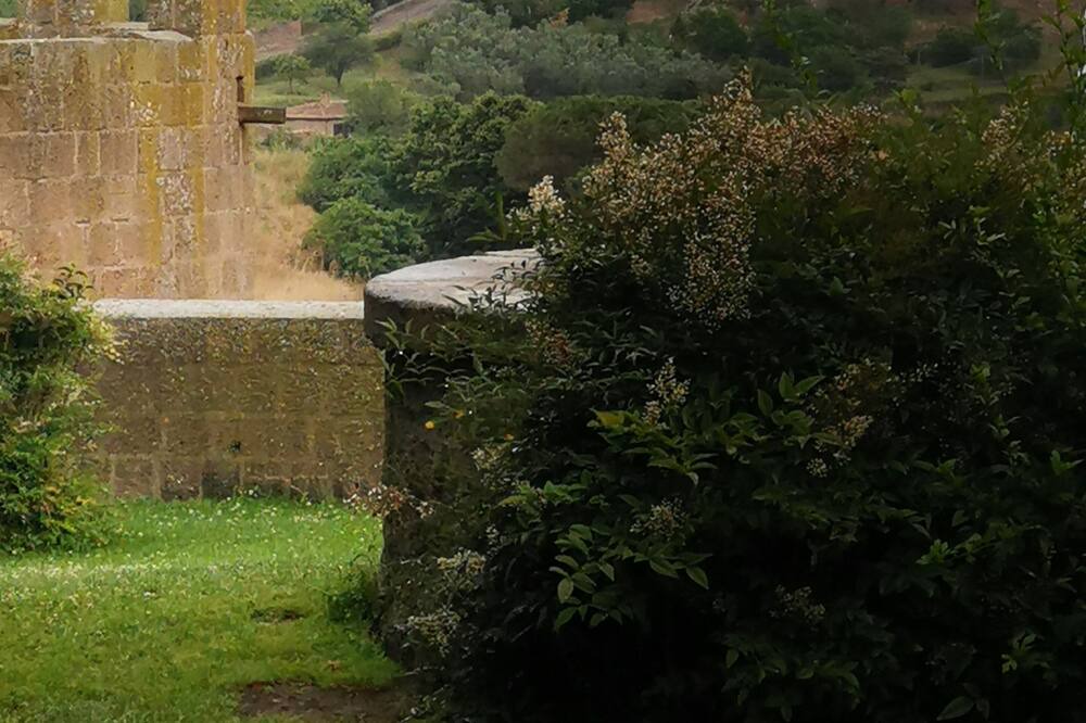 Photo of Outdoor in Tuscania