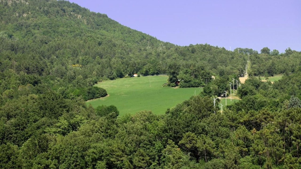 Photo of Others in Pieve Santo Stefano