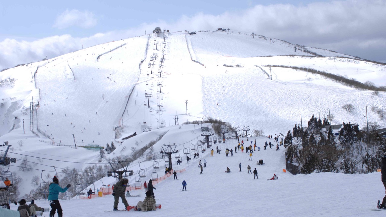 Photo of Others in Minami-komatsu