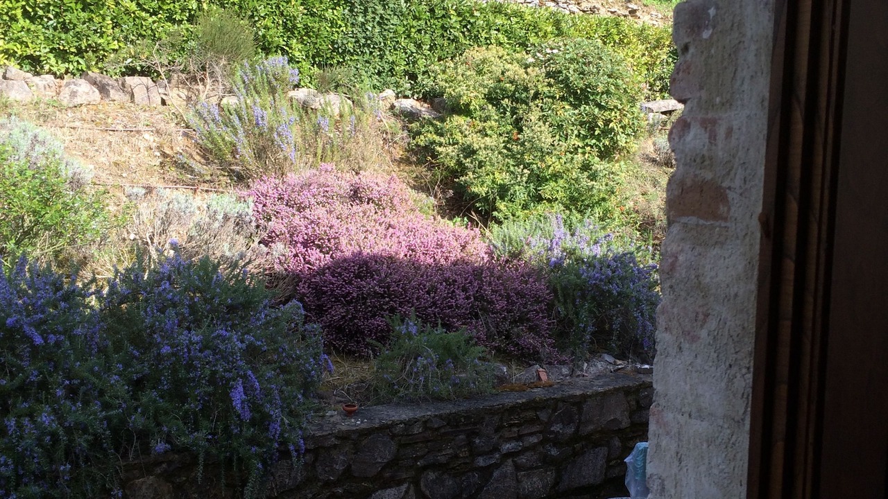 Photo of Patio Balcony in Castellina in Chianti