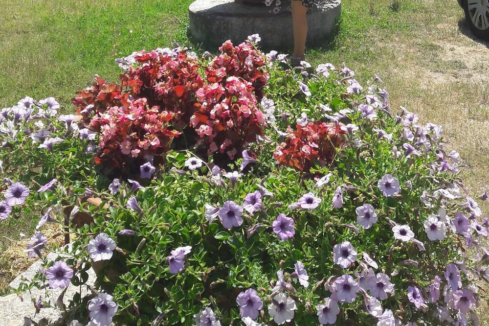 Photo of Outdoor in Tavarnelle Val di Pesa