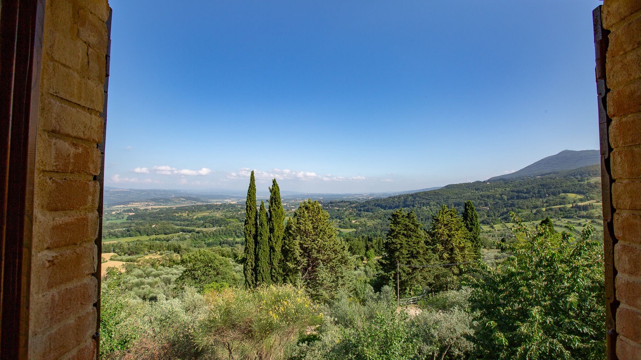 Photo of Others in Sarteano