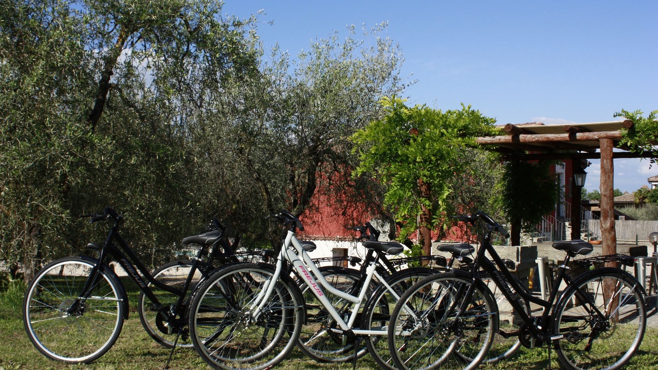 Photo of Outdoor in Vitorchiano