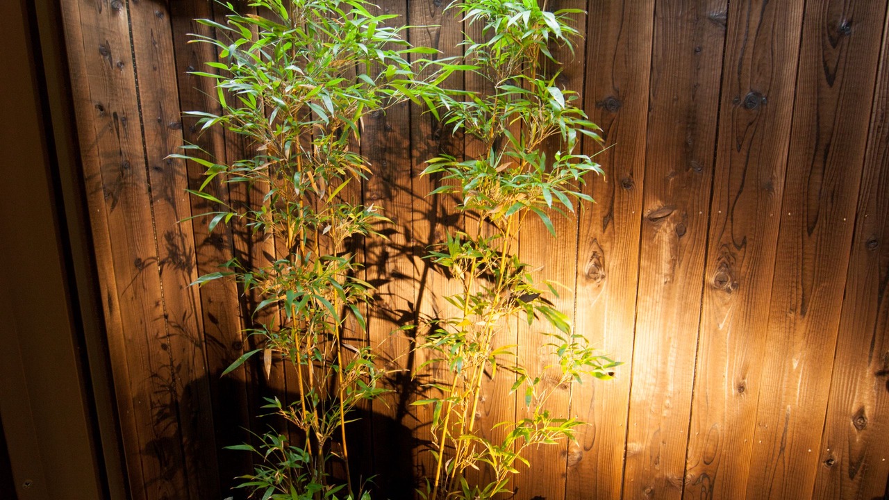 Photo of Patio Balcony in Higashiyama